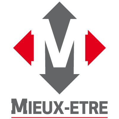 Logo medi services vertical